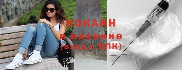 ПСИЛОЦИБИНОВЫЕ ГРИБЫ Арсеньев