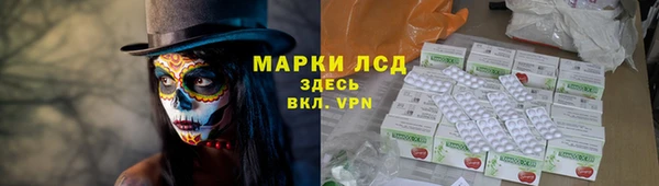 ПСИЛОЦИБИНОВЫЕ ГРИБЫ Арсеньев