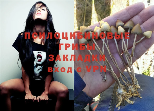 стафф Баксан