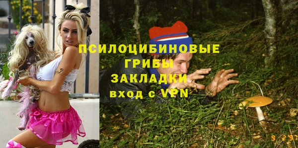 сатива Балахна