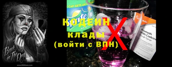 ПСИЛОЦИБИНОВЫЕ ГРИБЫ Арсеньев